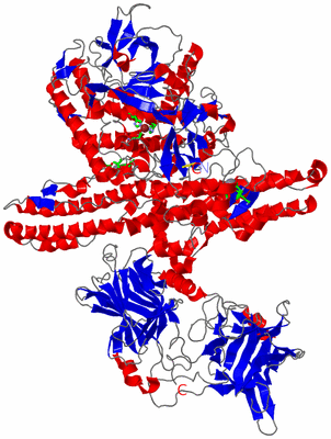 Image Asym./Biol. Unit - sites