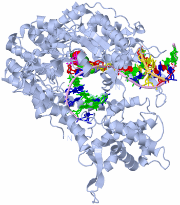 Image Biological Unit 1