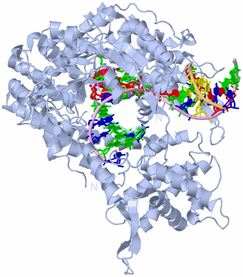 Image Biol. Unit 1 - sites