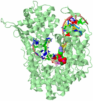 Image Biological Unit 2