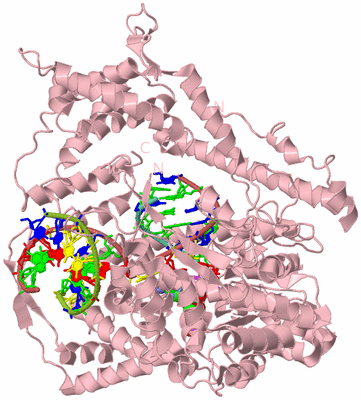 Image Biological Unit 3