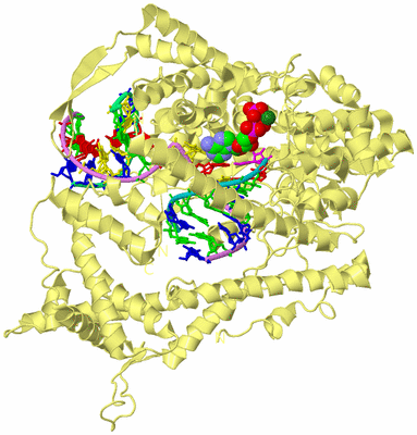 Image Biological Unit 4