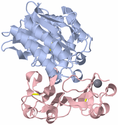 Image Biological Unit 1