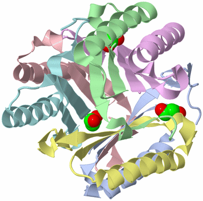 Image Biological Unit 1