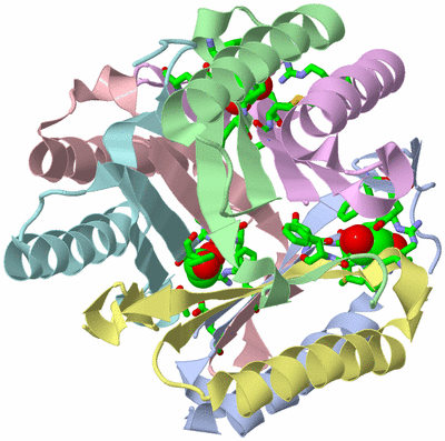 Image Biol. Unit 1 - sites