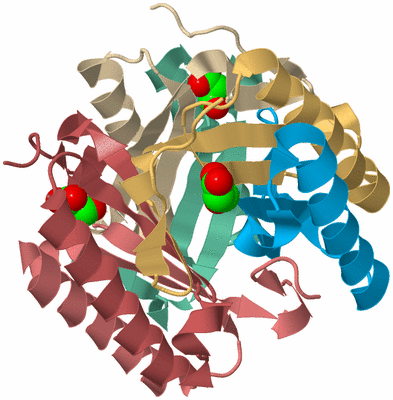 Image Biological Unit 2