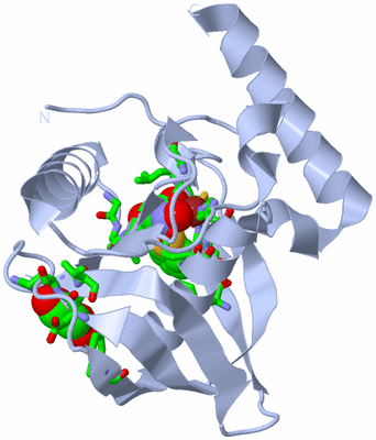 Image Biol. Unit 1 - sites