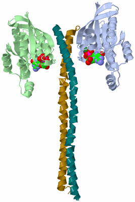 Image Asym./Biol. Unit