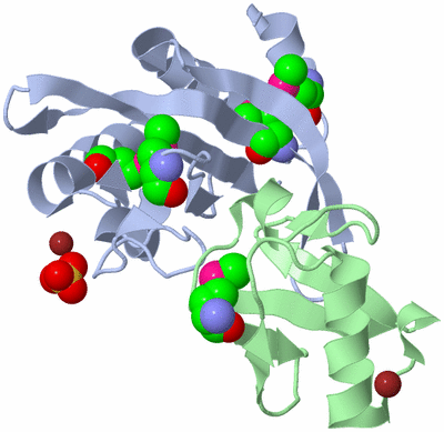 Image Biological Unit 1