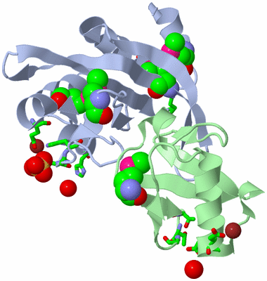 Image Biol. Unit 1 - sites