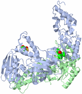 Image Asym./Biol. Unit