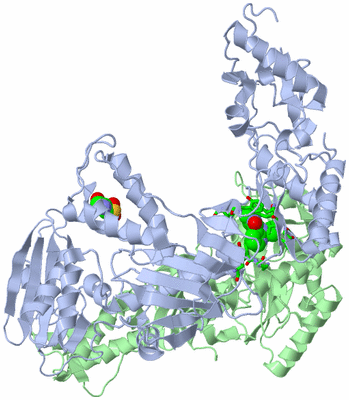 Image Asym./Biol. Unit - sites