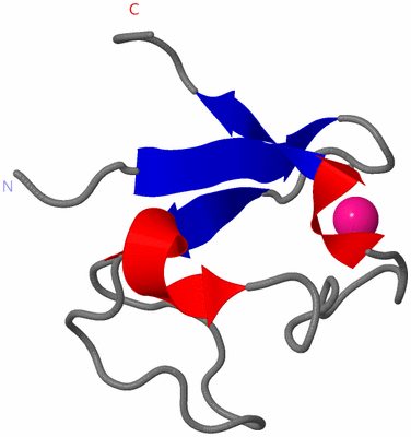 Image NMR Structure - model 1