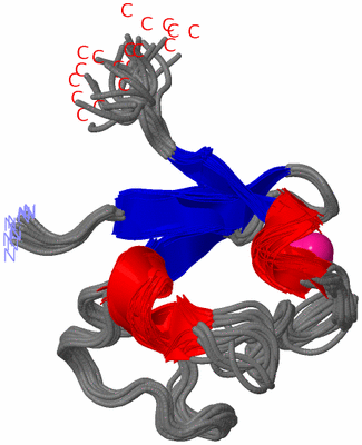 Image NMR Structure - all models