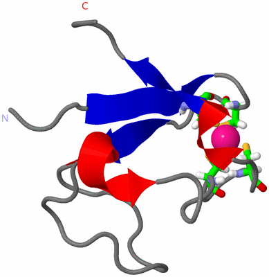 Image NMR Structure - model 1, sites