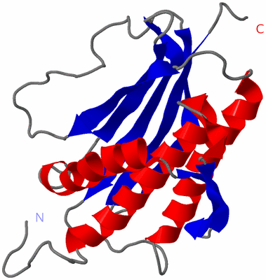 Image NMR Structure - model 1