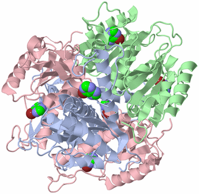 Image Biological Unit 1