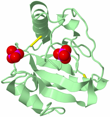 Image Biological Unit 2