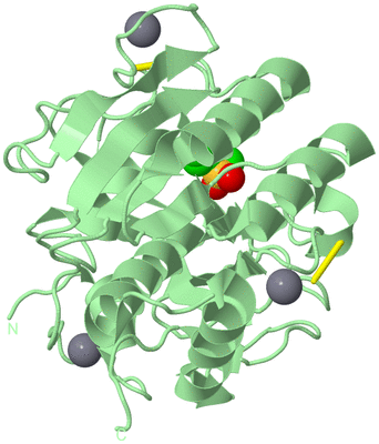 Image Biological Unit 2