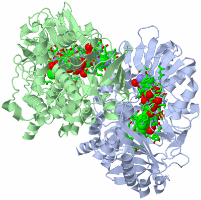 Image Asym./Biol. Unit - sites