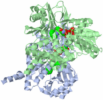 Image Asym./Biol. Unit