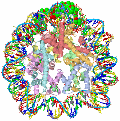 Image Asym./Biol. Unit - sites