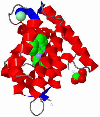 Image Asym./Biol. Unit