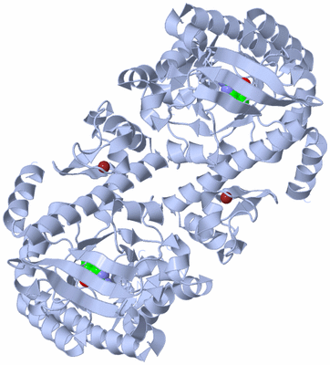 Image Biological Unit 2