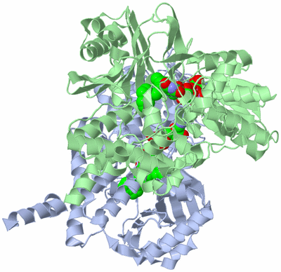 Image Biological Unit 1