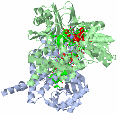 Image Biol. Unit 1 - sites