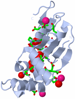 Image Biol. Unit 1 - sites