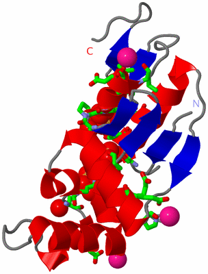 Image Asym. Unit - sites