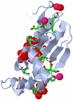 Image Biol. Unit 1 - sites