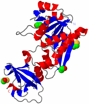 Image Asym./Biol. Unit