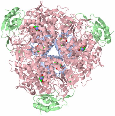 Image Biological Unit 1