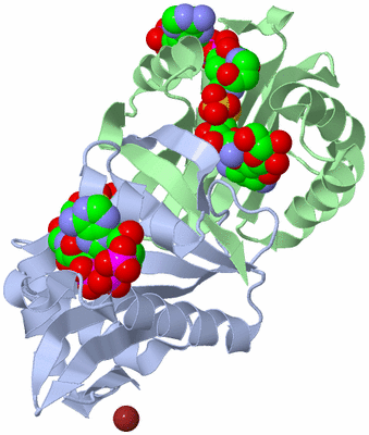 Image Asym./Biol. Unit