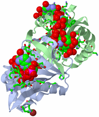 Image Asym./Biol. Unit - sites