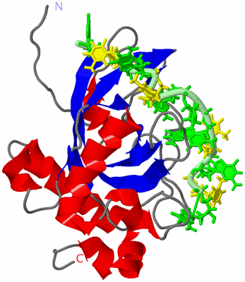 Image NMR Structure - model 1