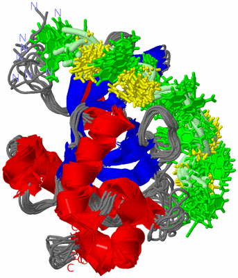 Image NMR Structure - all models