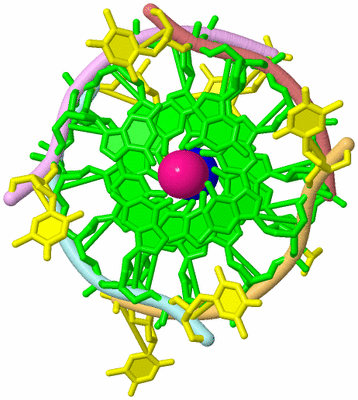 Image Biological Unit 2