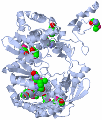 Image Biological Unit 1