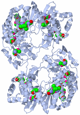 Image Biological Unit 2