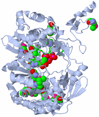 Image Biol. Unit 1 - sites