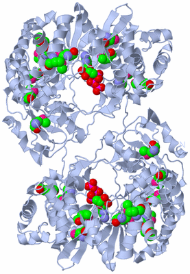 Image Biological Unit 2