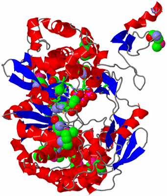 Image Asym. Unit - sites