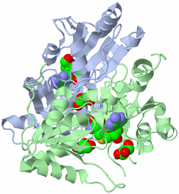 Image Biological Unit 1