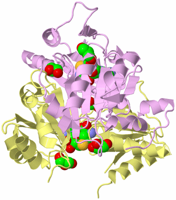 Image Biological Unit 2