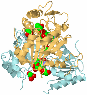 Image Biological Unit 3