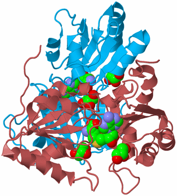 Image Biological Unit 5