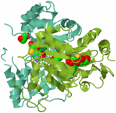 Image Biological Unit 6